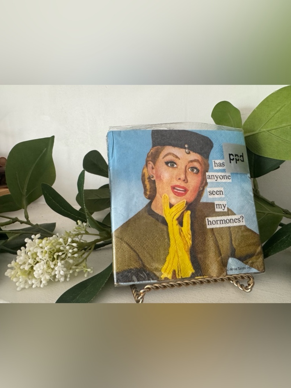 Anne Taintor Beverage Paper Napkins 5 x 5 “Have Anyone seen My Hormones” Germany